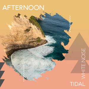 zZz Afternoon Tidal White Noise zZz album