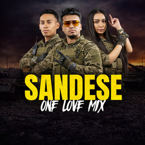 Shaniel Nanhoe - Sandese One Love Mix (Cover)