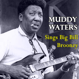 Sings Big Bill Broonzy - Compilation by Muddy Waters | Spotify