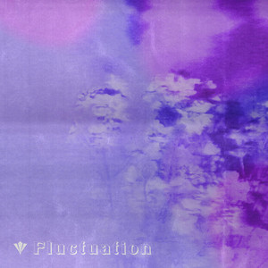 Fluctuation