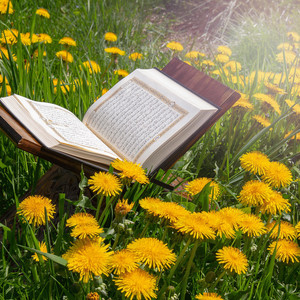 Ayatul Kursi 3 Times by Ibn Hossain