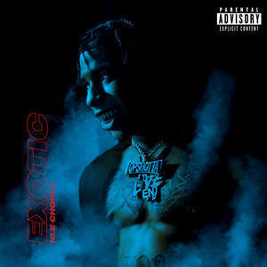 Exotic by NLE Choppa
