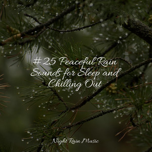 #25 Peaceful Rain Sounds for Sleep and Chilling Out album
