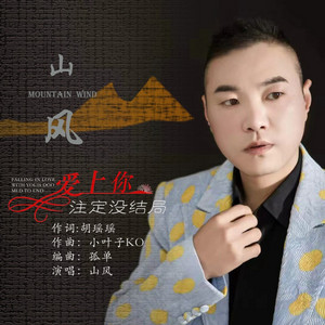 爱上你注定没结局 - DJ版 by 山风