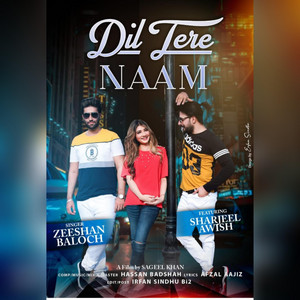 Dil Tere Naam Zeeshan Baloch by Hassan Badshah, Nish