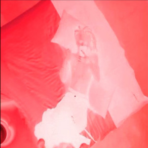 bleed by Pretti Archive, Z0NE