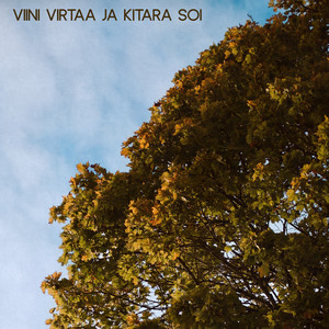 Viini virtaa ja kitara soi by Hyvän Päivän Tutut