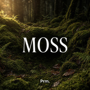 Moss by prm.