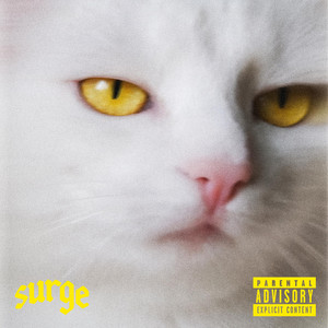 ANIMAL STATIC by SURGE HC