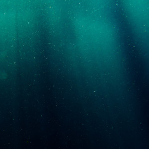Delicate Sound of Ocean album