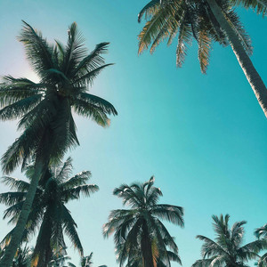 Tryna get how i live