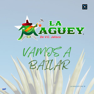 Vamos a bailar by La Maguey de V.C. Jalisco