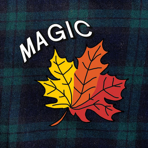 Magic by Grant Chesin