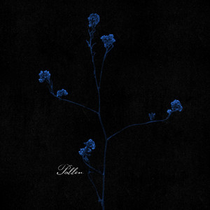 Pollen by SAINT KID
