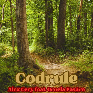 Alex Cery - Codrule (Remake) (feat. Ornela Pasăre)