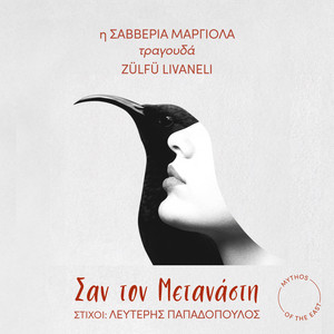 San Ton Metanasti (Kardeşin Duymaz)