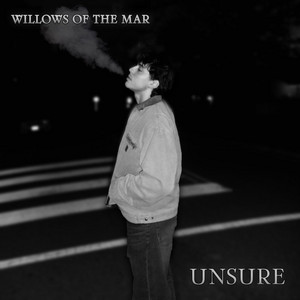 Unsure by Willows of the Mar