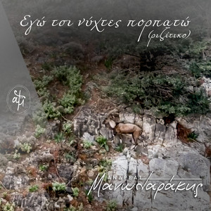 Εγώ Τσι Νύχτες Πορπατώ (Ριζίτικο) by Ανδρέας Μανωλαράκης
