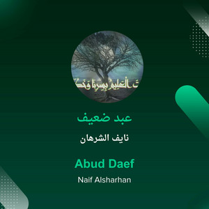 عبد ضعيف by نايف الشرهان