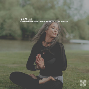 Appropriate Meditation Music to Lose Stress album