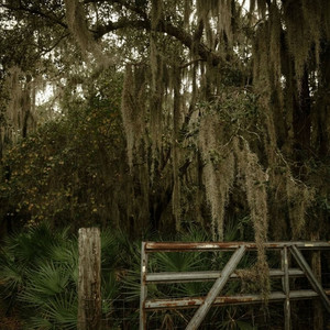 PAYIN' THE TAB by Southern Phantoms