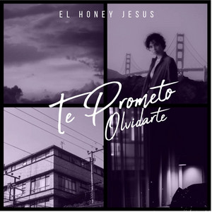 Te Prometo Olvidarte by El Honey Jesus Bachata, Grupo Cibaeño