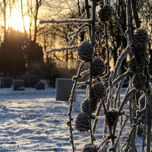 Can You Feel the Love Tonight by Georg Erixon