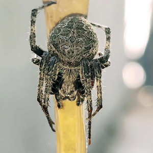 John 1085 - hawak mo