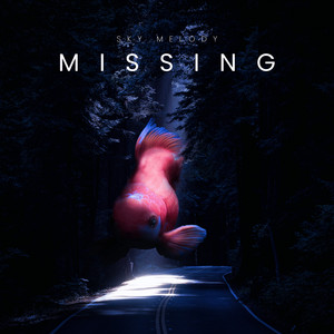 Missing by Sky Melody