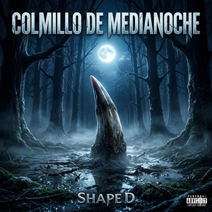COLMILLO DE MEDIANCOHE by Shape D