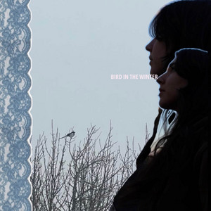 Bird in the Winter by Brooke Elquin