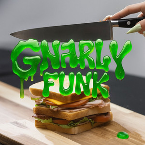 GNARLY FUNK by DJ R4, MC FLYXO