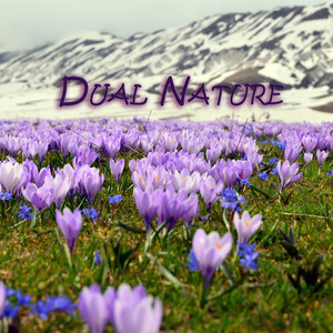Dual Nature by Lofi Lonely