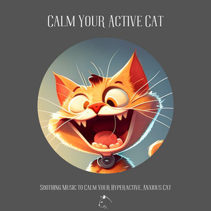 Calm Your Active Cat album