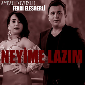 Neyime Lazım (feat. Fəxri Ələsgərli)