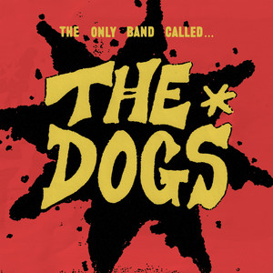 TAKE IT FROM ME by THE DOGS