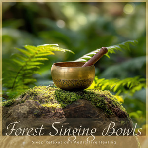 Cool Music - ASMR Singing Bowls for Oasis