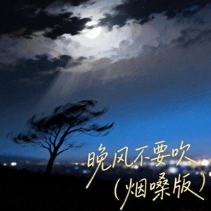 晚风不要吹 - 烟嗓版 by 大头针 Official