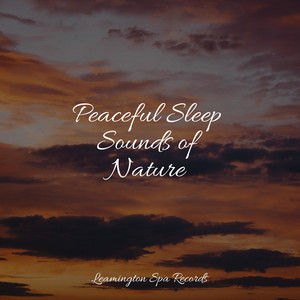 Peaceful Sleep Sounds of Nature album