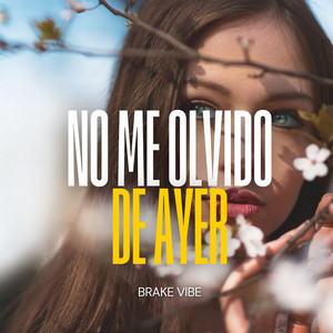 No Me Olvido De Ayer by Brake Vibe
