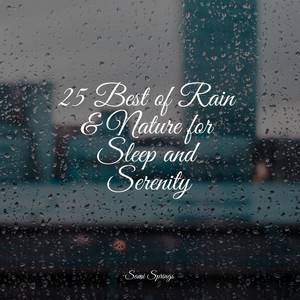 25 Best of Rain & Nature for Sleep and Serenity album