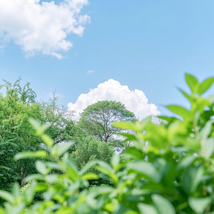 Anynha Melody - Inner Harmony