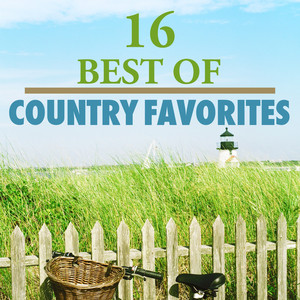 16 Best Country Favorites album