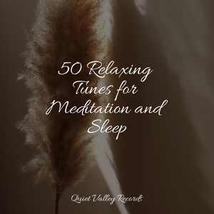 50 Relaxing Tunes for Meditation and Sleep For Dogs