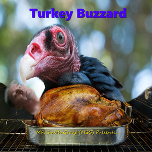Turkey Buzzard – MR Smith Group (MSG) (2025)