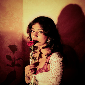 Passionate Affair by Mona Rosa