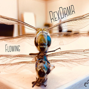 Doktore by REX DRMR Album Cover