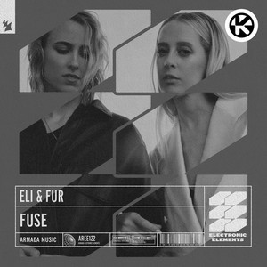 Fuse cover art