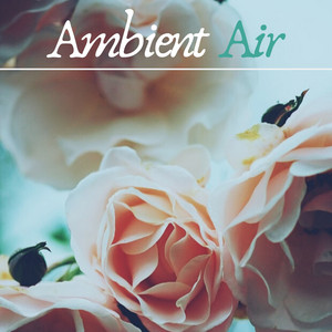 Ambient Air - Relaxing Music for Sensitive People