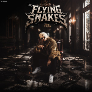 Flying Snakes by Jot Jamsher